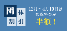 団体割引　12月～4月10日は観覧料金が半額！